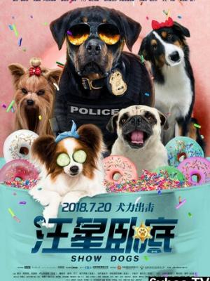 短剧《凌晨三点的短剧生成器》封面剧照